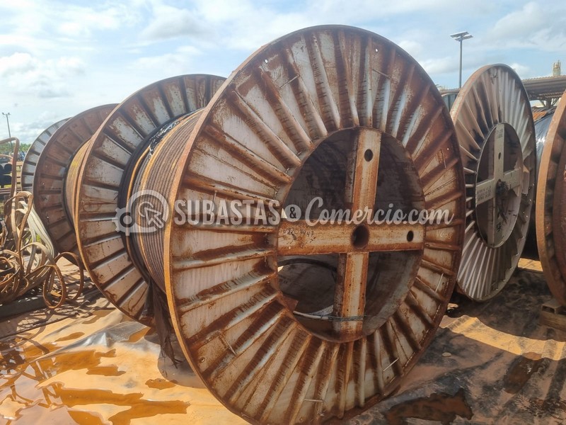 WhatsApp Image 2025-11-07 at 12.53.47 PM.jpg